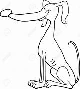 Whippet Coloring Pages Simple Getcolorings Getdrawings Color sketch template
