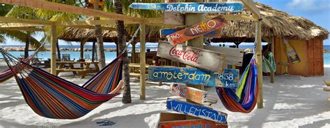 travel  curacao yellow tourism solutions nv
