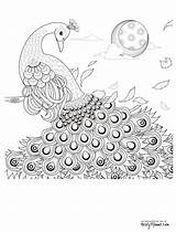 Ausmalbilder Peacock Malen Zahlen Eule Malvorlage Druckvorlagen Erwachsene Frisch Bis Blumenranken Bunt Eulen Ornamente Inspirierend Beste Wimmelbilder Peacocks Okanaganchild sketch template