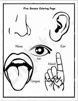Smell Senses Pages sketch template