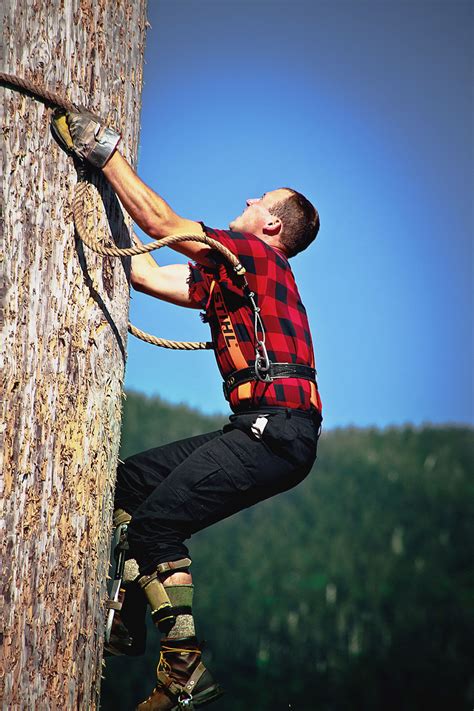 lumberjack competition canada google search lumberjack competition
