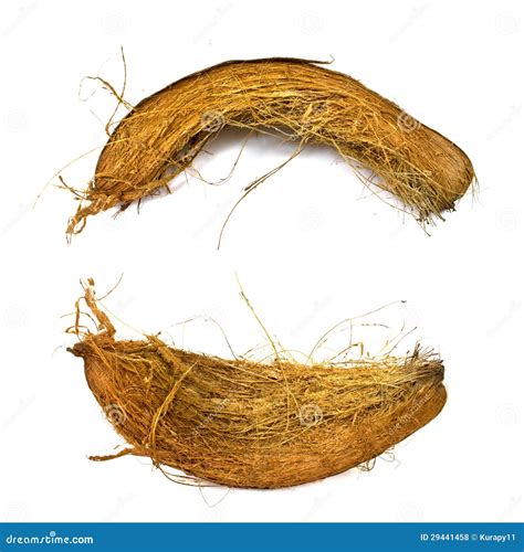coconut spathe stock photo image  break dried ingredient