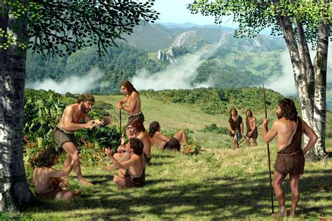 introduction   middle paleolithic