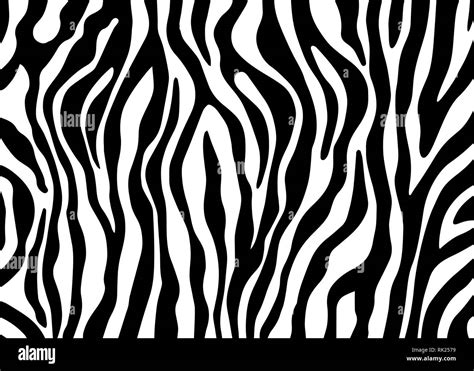 zebra print vector pattern stock vector image art alamy