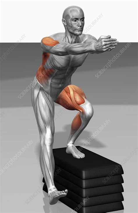 step  exercises stock image  science photo library