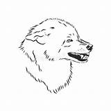 Wolf Snarling Logotype sketch template
