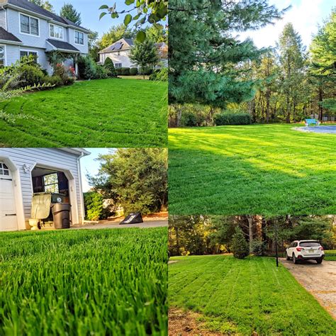 mow zone  nj stunning lawncare