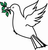 Olive Branch Dove Openclipart sketch template