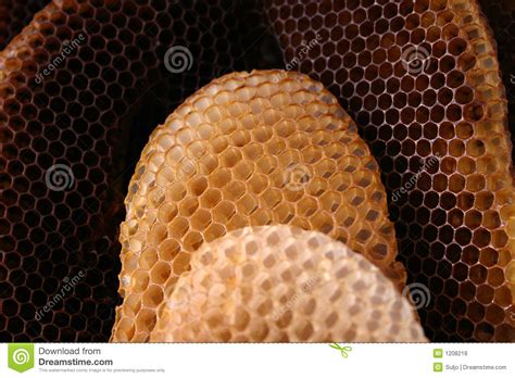 de bijenkorf van de bij stock foto image  honingraat