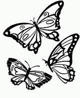 Motyle Kolorowanki Motylami Obrazki Kolorowania Owady Malowanki sketch template