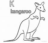 Kangaroo Coloring Pages Printable Print Template Cool2bkids Kids sketch template