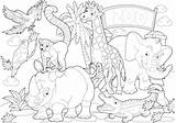 Zoo Coloring Animal Pages Animals Kidspressmagazine sketch template