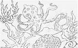 Octopus Blue Ringed Coloring Pages Animal Drawings 279px 06kb Lizard sketch template