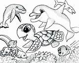 Coloring Pages Sea Animals Life Realistic Underwater Creature Creatures Ocean Color Printable Adults Getcolorings Marine Getdrawings Colorings sketch template