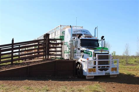 australian cattle hauler  images kenworth trucks kenworth trucks