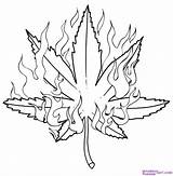 Tattoo Weed Outline Designs Coloring Pages Leaf Tattoos Plant Color sketch template