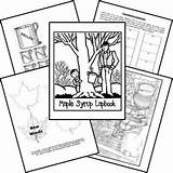 Maple Syrup Kids Books Activities Worksheets Study Sugaring Tree Children Coloring Lapbook Map Printables Sugar Life Lessons Pages Measurement Unit sketch template
