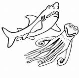 Coloring Shark Pages Kids sketch template
