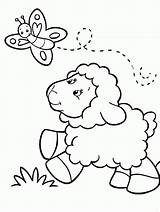 Sheep Coloring Color Popular Pages sketch template