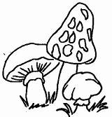 Paddestoelen Animaatjes Coloringpages1001 Mushrooms sketch template