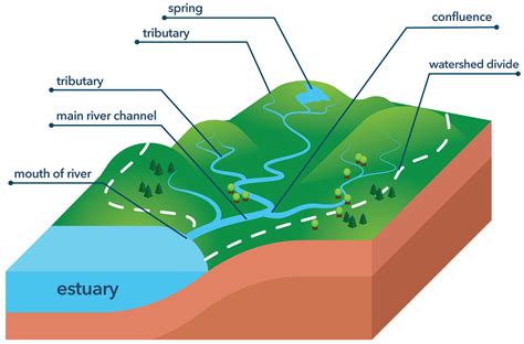 watersheds watermattersorg