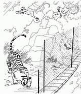 Zoo Coloring Pages Animal Printable Kids sketch template