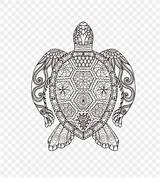 Adult Drawing Coloring Book Doodle Child Turtle Vector Favpng sketch template