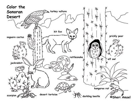 ecosystem coloring pages  getdrawings