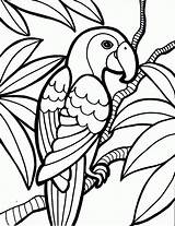 Bird Coloring Pages Parrot Printable Getcoloringpages Kids sketch template