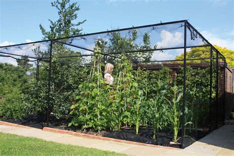 steel fruit cage  butterfly net harrod horticultural uk