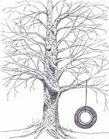 Swing Drawing Tree Tire Line Sketch Trees Coloring Colouring Clipart Draw Pages Digi Stamps Drawings Paintingvalley Google Tattoos sketch template