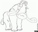 Mamut Manny Mammut Mammoet Glaciale Hielo Malvorlagen Kleurplaat Manni Malvorlage Kleurplaten Sid Scrat Stampare Mamute sketch template