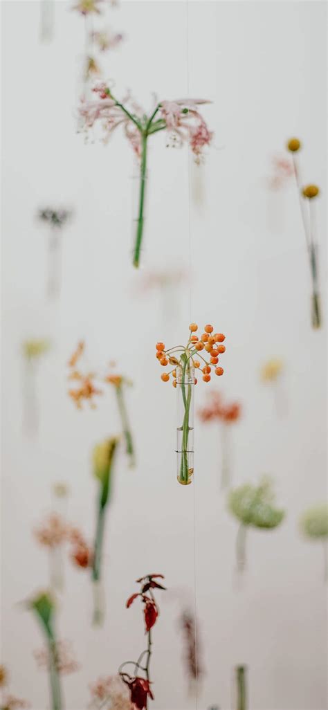 Aesthetic Flower Wallpaper Hd Iphone - jlynn-beautifullife