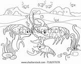Crayfish Pond Viktoriia Panchenko sketch template