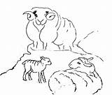 Ram Coloring Pages Color Animal Animals Printable Print Back Powered Results sketch template
