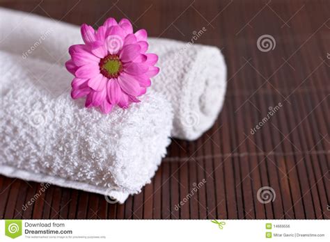 flower  spa stock photo image  natural wellness
