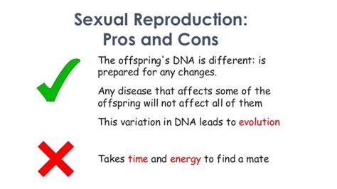 asexual and sexual reproduction on emaze