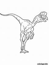 Oviraptor Coloriage Dinosaure Dinozavri Colorier Dinozaury Kolorowanki Dinosaurs Imprimé sketch template