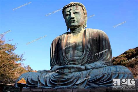 buddha  kotokuin temple imagenes  fotografia de stock agefotostock