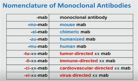 nomenclature  monoclonal antibodies mab dr grepmed