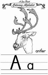 Janbrett Coloring Alphabet Pages Cursive Animal sketch template