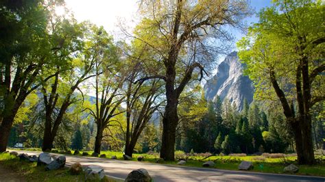 Visit Big Pine 2023 Travel Guide For Big Pine California Expedia