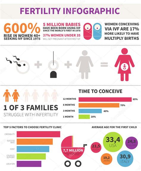 fertility infographic — stock vector © favetelinguis199 43727597