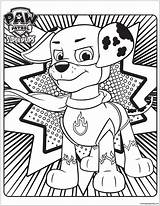 Paw Patrol Super Pups Pages Coloring Online Color sketch template