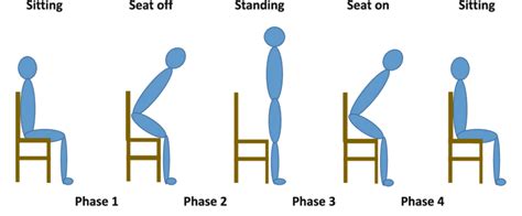 phases   sit  stand movement  scientific diagram