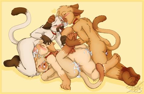 furry yaoi felin 34 furry yaoi felin furries pictures