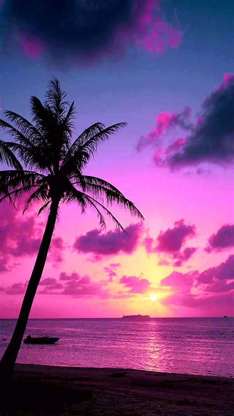 pink tropical sunset wallpaper by goodfellagrl 97 free on zedge™