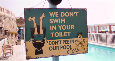 this is what happens when you pee in the pool science news