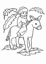 Palm Sunday Coloring Donkey Jesus Pages Kids Color Printable Print Getcolorings sketch template