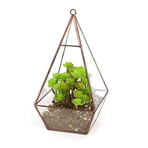 The Fellie Glass Plant Box Modern Diy Wall Mount Hanging Pyramid